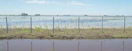 Crece la cantidad de campos bajo el agua