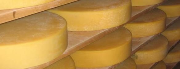 Continúa trabado el ingreso de queso Brasil