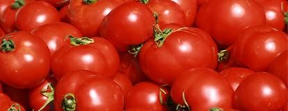 INTA y CONICET descifraron el genoma del tomate