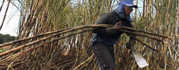 Paro de los trabajadores del azúcar