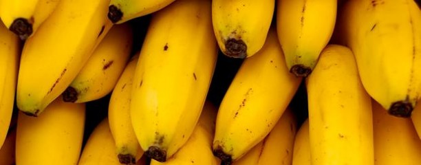 Productores en alerta por la importación de bananas