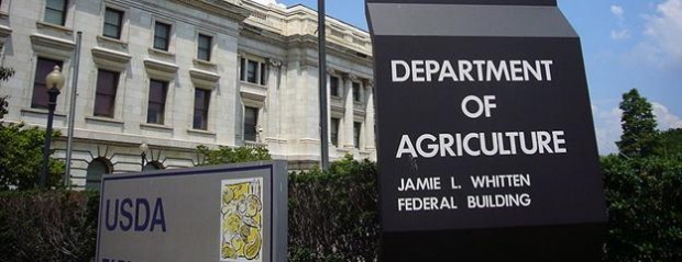 Expectativa por el informe de julio del USDA