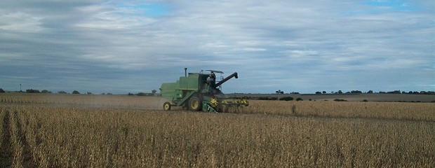 ¿Cómo se están negociando los alquileres agrícolas?