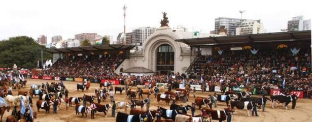 El lunes ingresará el primer animal a la Exposición Rural 