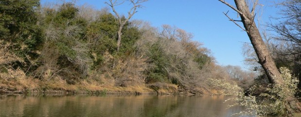 Entre Ríos se encamina a sancionar su propia ley de bosques 