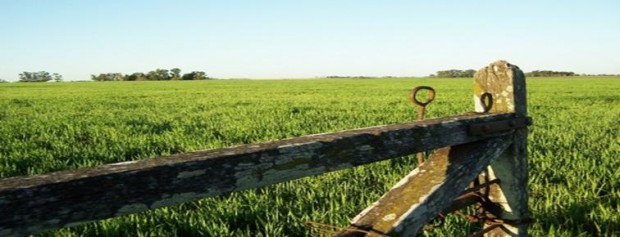  El gobierno desmintió un proyecto de expropiación de campos