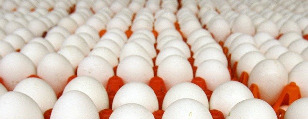 Baja la producción de huevos en la Argentina 