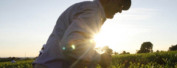 Impulsan una ley específica para la agricultura familiar