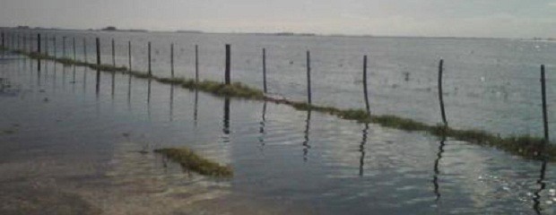 Las lluvias magnifican los problemas en zona núcleo 