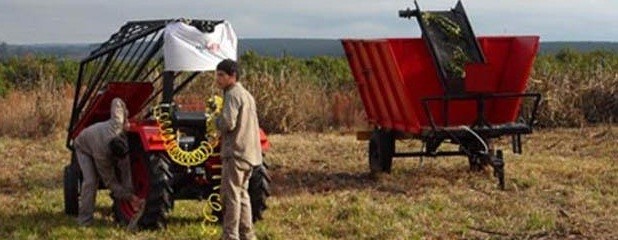 Primera cosechadora de yerba mate