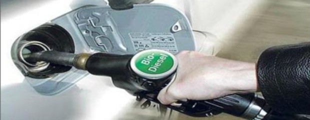 Aumentó 15% la producción de biodiesel