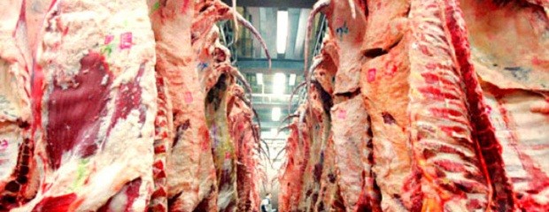 ¿Cuàles son las perspectivas en el mercado de carnes?