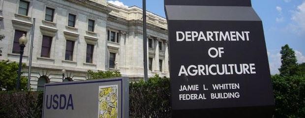 El Usda cerró el año sin sorpresas