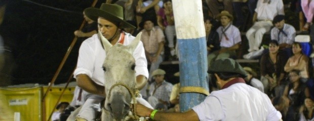 Destacaron la calidad del espectáculo de jineteada