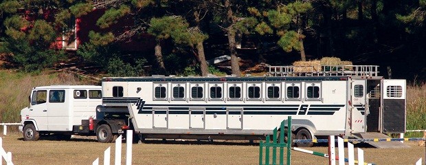 El bienestar, también en el transporte de caballos