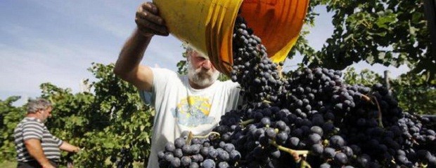 Los frutícolas levantaron el paro y acordaron una suba