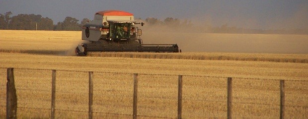 Córdoba: el agro es principal motor exportador