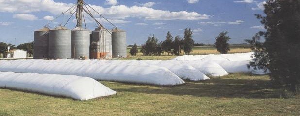 Recomendaciones al momento de almacenar el cultivo