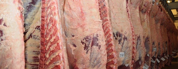 Las exportaciones de carnes frescas bovinas cayeron un 31% 