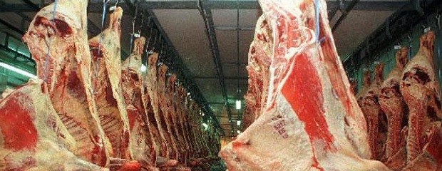 Pérdidas millonarias por caída de venta de carne al exterior