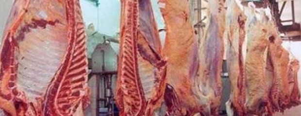  Este año crecerá la producción y la exportación de carne