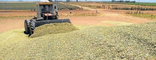 Planificar un silo aéreo de calidad 