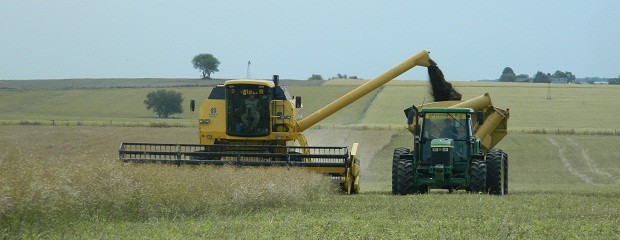 ¿Cuál es el real impacto del campo en la economía nacional?