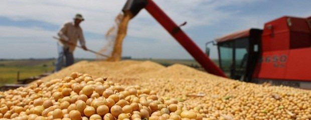 76% de argentinos desconoce el liderazgo de la agroindustria