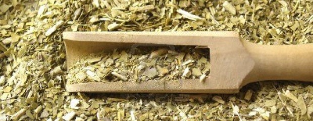 Productores reclaman discutir el precio de la hoja de yerba