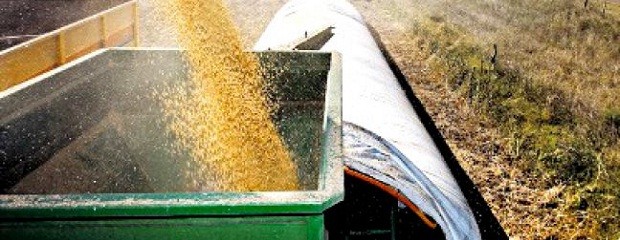 Cayó la venta de bolsas para silo