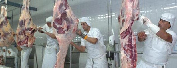 Falta oferta de carne para exportar cortes premium a Rusia