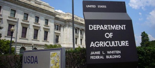 Para el USDA es preocupante la situación del maíz