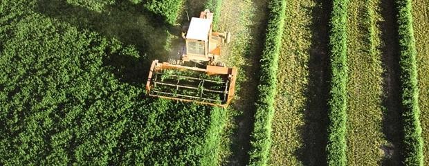 Los seguros para el campo, acorralados