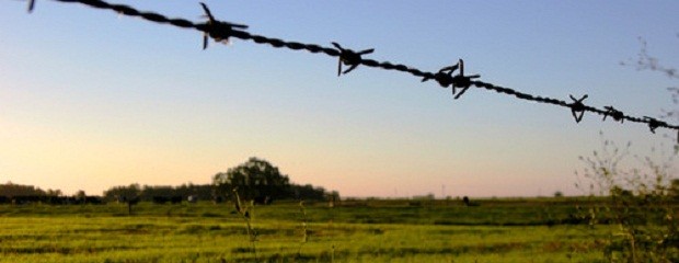 Alquileres de campos bajan un 40% por mal clima