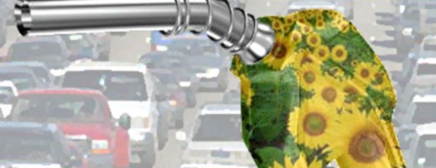 ¿Quién es quién en la industria del biodiesel?