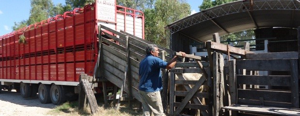 Certificado Único de Lavado y Desinfección será obligatorio