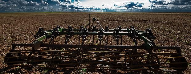 El clima favorecerá este año a la agricultura