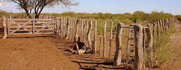 Límites a la compra de tierra por extranjeros