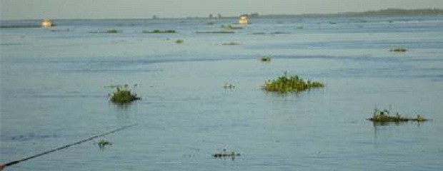 Entre Ríos prepara evacuaciones de ganado 