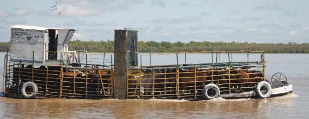 Piden bajar los costos del traslado de hacienda