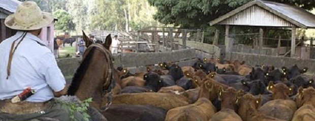 En busca de aumentar el trabajo registrado en el medio rural