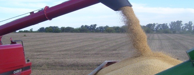 El campo exportó más soja y maíz