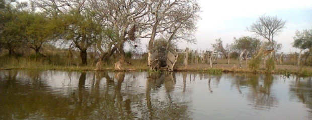 Baja el río Paraná pero se mantiene el alerta