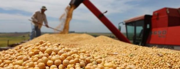 Piden a las cerealeras que liquiden unos u$s 4.500 millones