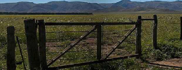 La producción mixta en la puerta del desierto 