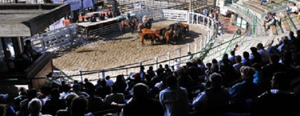 Cuestionamientos al gobierno en Expo Ganadera Gualeguaychú