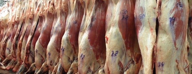 Las exportaciones de carne comenzaron a repuntar