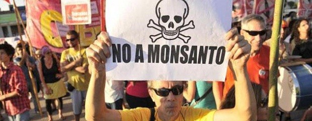 Paraná: protesta contra una planta de Monsanto