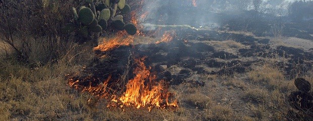 La veda por la quema de pastizales comenzaría en diciembre