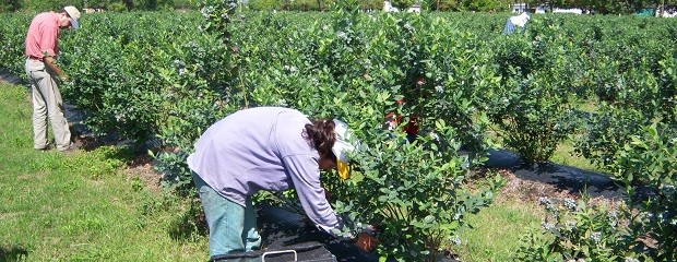 Trabajadores reclaman que se declare la emergencia